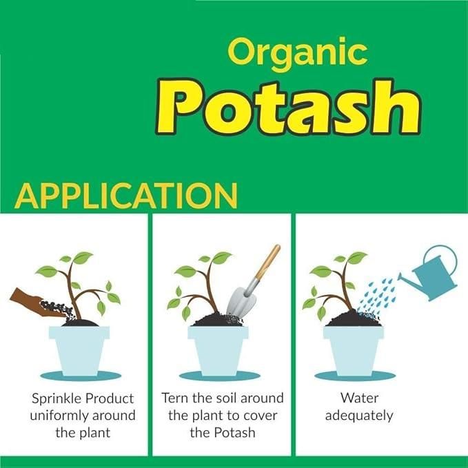 Organic Potash Fertilizer 350 gm 🌱💧 | Potassium Boost for Plants