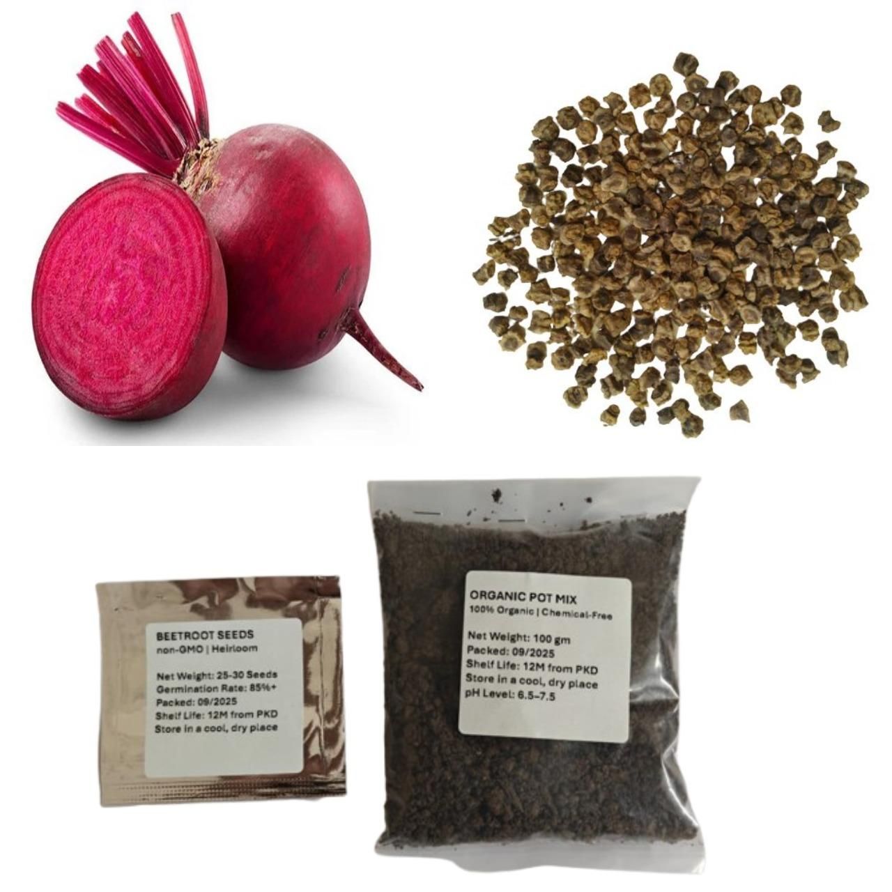 🌱 Beetroot Seeds + Free Organic Pot Mix – 100 gm | Grow Your Own Superfood 🌿