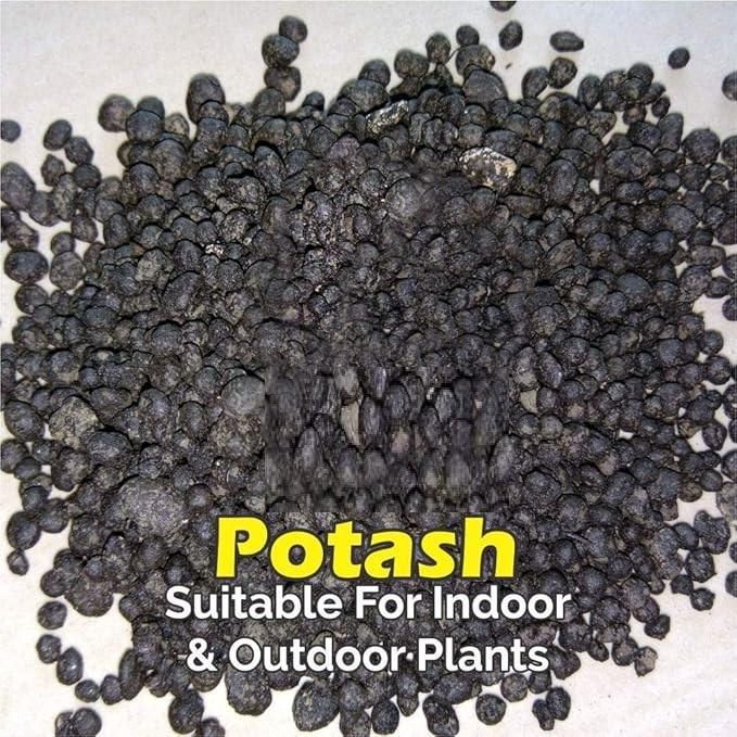 Organic Potash Fertilizer 350 gm 🌱💧 | Potassium Boost for Plants