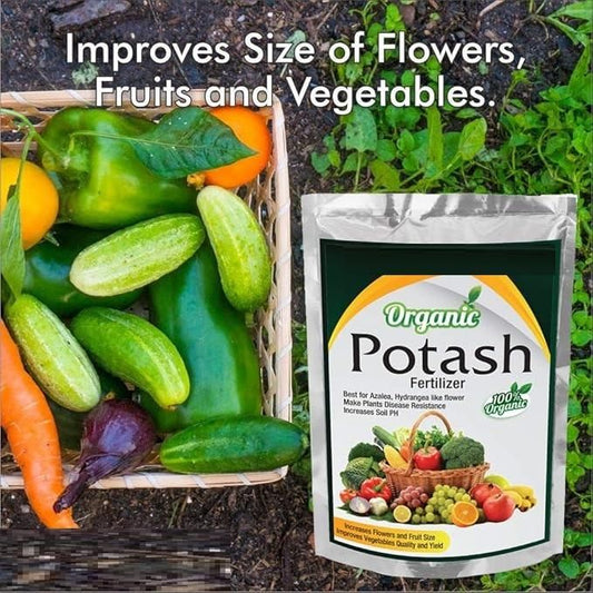 Organic Potash Fertilizer 350 gm 🌱💧 | Potassium Boost for Plants