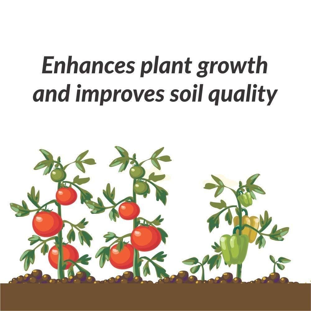 Organic Potash Fertilizer 350 gm 🌱💧 | Potassium Boost for Plants