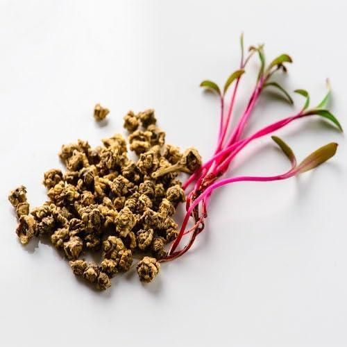 🌱 Beetroot Seeds + Free Organic Pot Mix – 100 gm | Grow Your Own Superfood 🌿